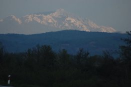 DSC1 (86).jpg